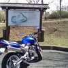 城山に（バイクで）と公渕公園の桜の画像