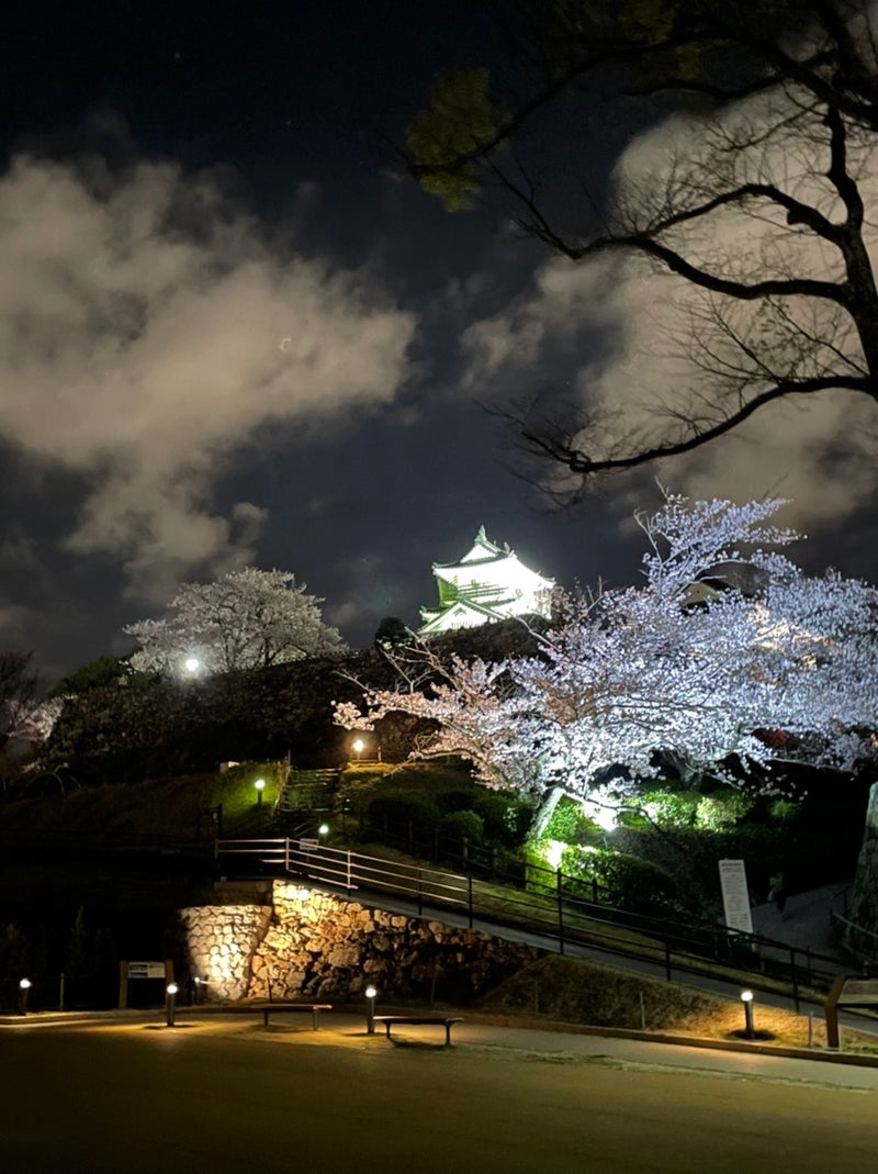 夜桜 浜松城公園 Hiro163 Goのブログ