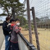 仙台　八木山動物園の画像