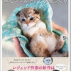 ◼️ 4/1本日発売です 『一緒にいたい！羊毛フェルトのちび猫づくり」の画像