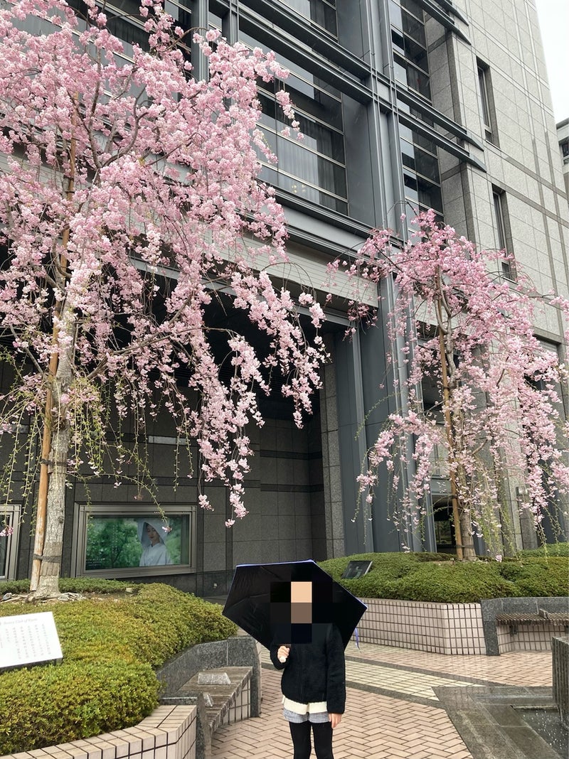 雨降る京都…桜散るらむ | つれづれなるまゝに…