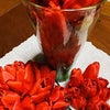 チューリップの花摘みの画像