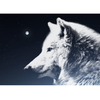 三峯山のオオカミ:大神、天狗、そして龍のスピリットの画像