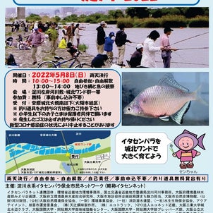 外来魚駆除釣り大会 in 淀川 2022の画像