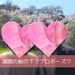 満開の桜の下でプロポーズ♡の画像