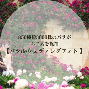 3000株のバラに囲まれてフォトウェディング「長野県中野市一本木公園」の画像
