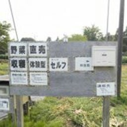 IMG_20220426_043337.jpg