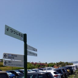 画像 晴天の飛行場から・・・・GW の記事より 10つ目