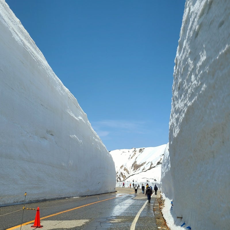 黒部立山アルペンルート　雪の大谷　雪壁