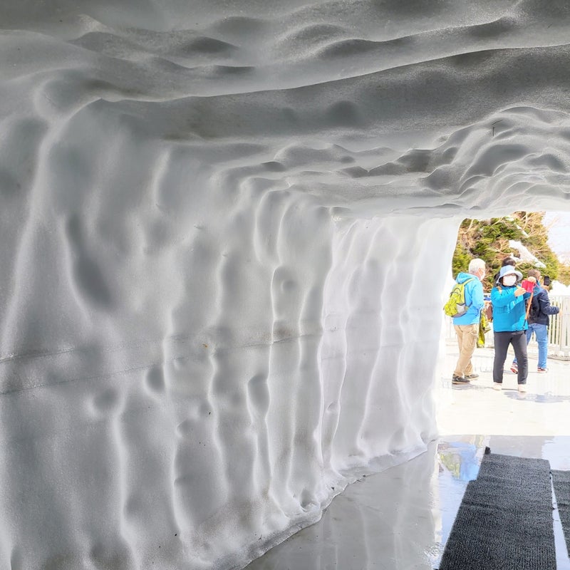 黒部立山アルペンルート　室堂　雪のトンネル
