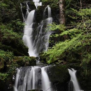 岡山県の滝－屋敷の滝の画像