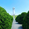 2022.5.8 横浜港シンボルタワー　ドッグラン出店の画像