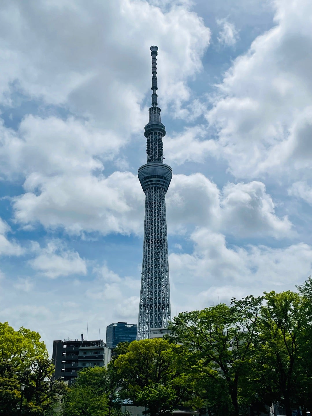 東京スカイツリーとソラマチ① ポケモンセンター | つれづれてぬぐい