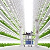 遺伝子操作された追跡可能な農作物を生産する垂直農法