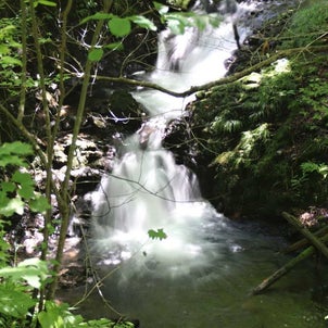 秋田県の滝－不動の滝の画像