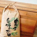 米余りの日本で米備蓄する必要はあるの？～無農薬玄米の保存