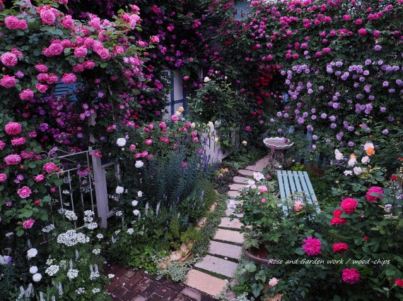 薔薇の庭 ガーデンベンチ
