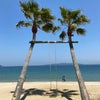 九州旅アルバム6～糸島・ヤシの木ブランコの画像