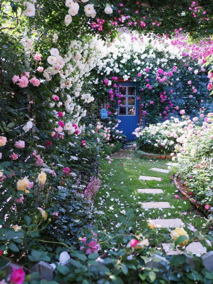 rosehouse 薔薇の家 庭
