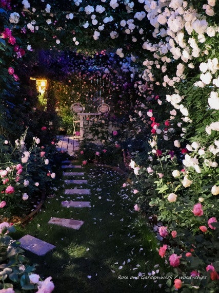 バラのライティング ガーデン