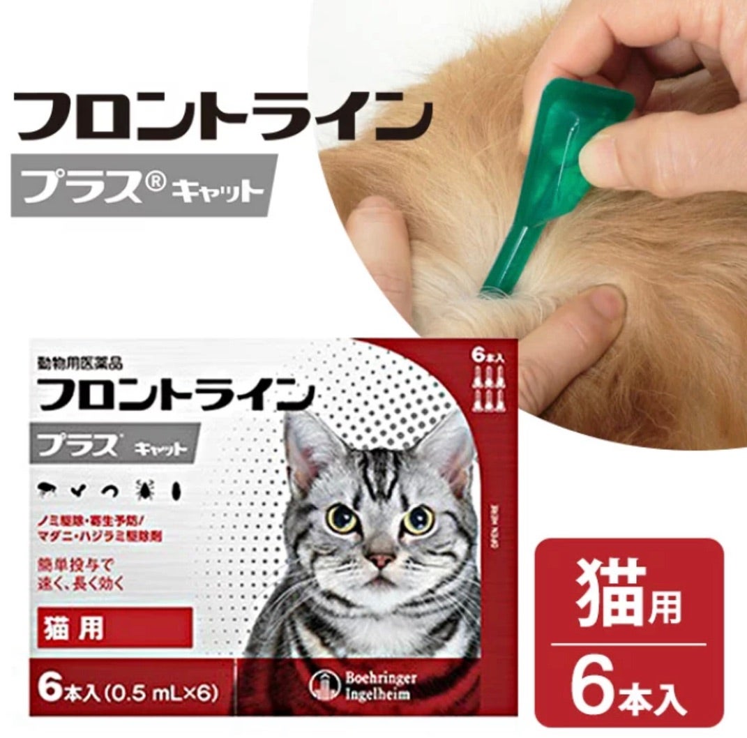 国産品 プロフェンダースポット 猫用 2.5〜5kg 2ピペット 動物用医薬品