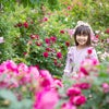 春のバラは迫力があってオススメ！千葉県京成バラ園は映えスポットがいっぱい！！の画像