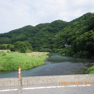 040608　　ボケボケで勝浦川の画像