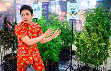 タイが市民に医療大麻草100万本を配布：医療目的と産業促進のために非犯罪化の記事より