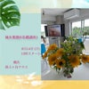 2022年8月14日（日）【神奈川・横浜】風水薬膳®︎基礎講座１の画像