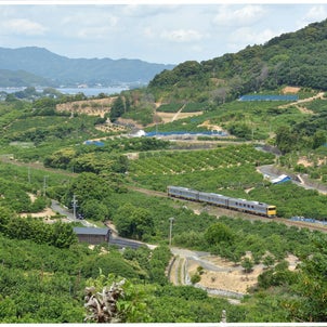 「ドクター東海」が天竜浜名湖鉄道を検測した時の様子(オレンジロード三ケ日)の画像