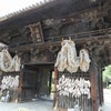 尾道・西國寺の三重塔（重要文化財）の画像