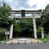 梅雨の晴れ間の京都御苑の画像