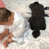 赤ちゃんと犬の画像