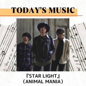 TODAY'S MUSIC　『STAR LIGHT』(ANIMAL MANIA)の画像