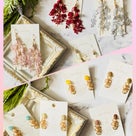 6月度グリーンセンター豊川出張販売 初日   イメルダの記事より