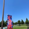 2022.6.25 新横浜公園ドッグランの画像