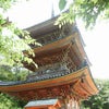 尾道・向上寺の三重塔(国宝)の画像