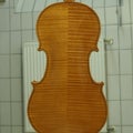 ヴァイオリン技術者の弦楽器研究ノート