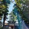 朔日参りの画像