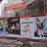 フランスで選挙ポスターに落書きするとどうなるか？の記事画像