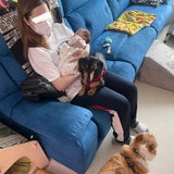 SP犬ヤンパと韓国産後トウミの料金の記事画像