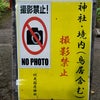 札幌伏見稲荷神社ー神玉集め・７の画像