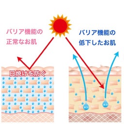 画像 日焼けしない肌作り の記事より 2つ目