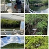 沖縄離島の旅　Ⅴの画像