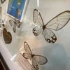 山形県米沢市‼️昆虫館で虫をジーと見てみたの画像