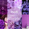 DAY6 紫 ☆虹色コレクション2022S/S☆の画像