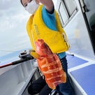 16日(土)・カサゴ釣り体験の記事より