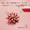 【商品番号：50158】紅白二重剣菊１６花びらキットの画像