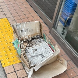 画像 やっぱりホッコリしますね の記事より 2つ目