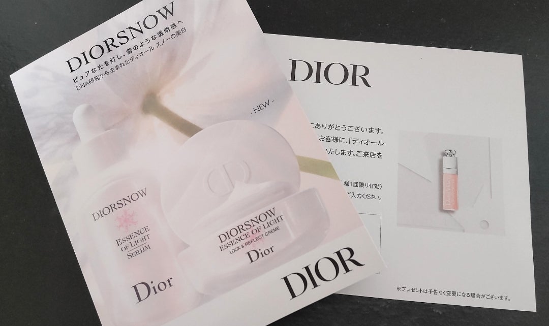 Christian Dior - 【全額返金保証・送料無料】ディオールのショルダー